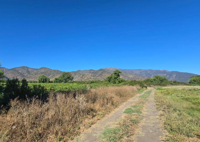Se Vende 2 Hectareas Zona Campestre Comuna Isla de Maipo