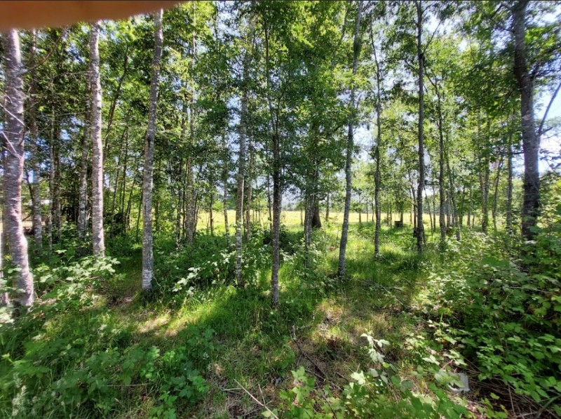 Se Vende Terreno en Comuna de Lanco, Región de los Ríos