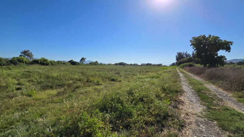 Se Vende 2 Hectareas Zona Campestre Comuna Isla de Maipo