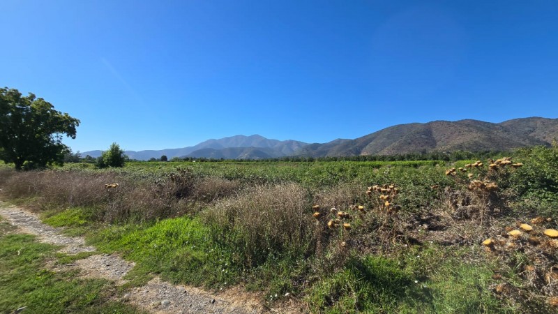 Se Vende 2 Hectareas Zona Campestre Comuna Isla de Maipo