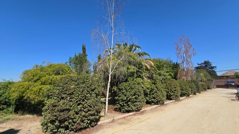 Oportunidad Se Vende Parcela Sola en Av. Lonquén Sur