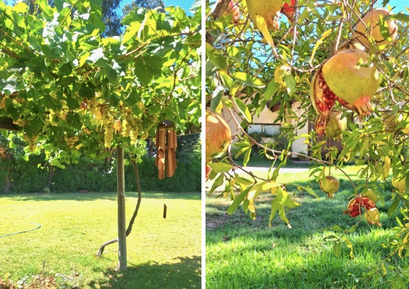 Se Vende Parcela de Agrado en Parcelación las Canarias