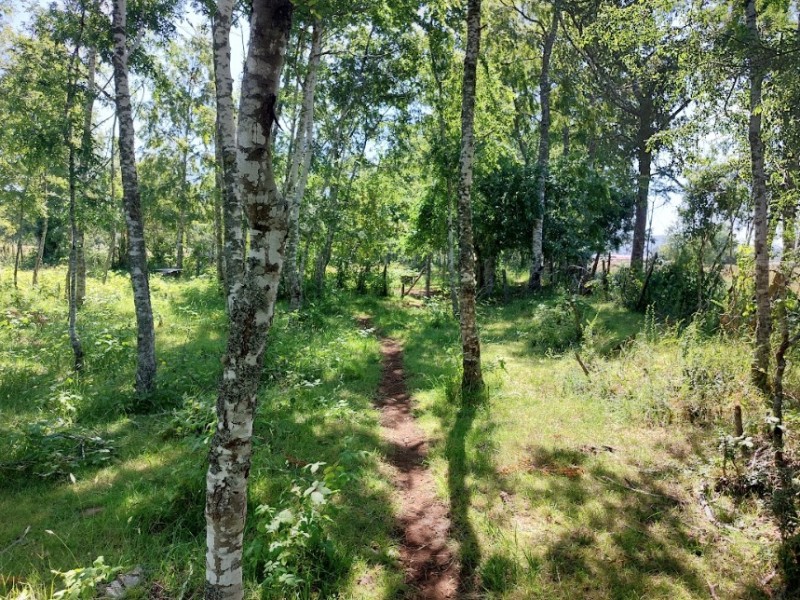 Se Vende Terreno en Comuna de Lanco, Región de los Ríos