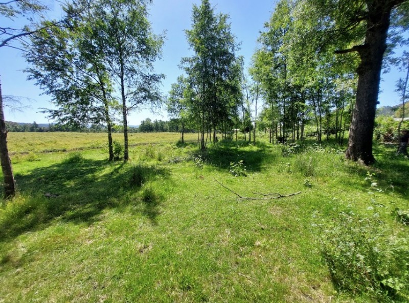 Se Vende Terreno en Comuna de Lanco, Región de los Ríos