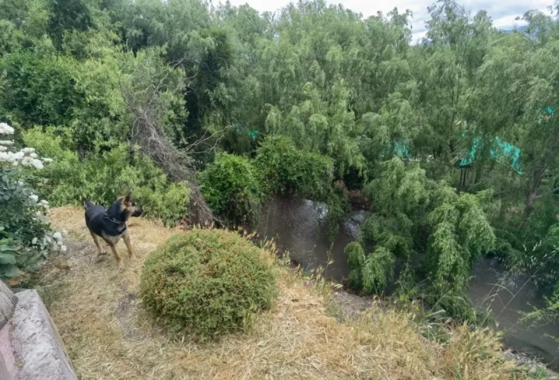 Se Arrienda Parcela en Condominio Aguas Claras, Talagante