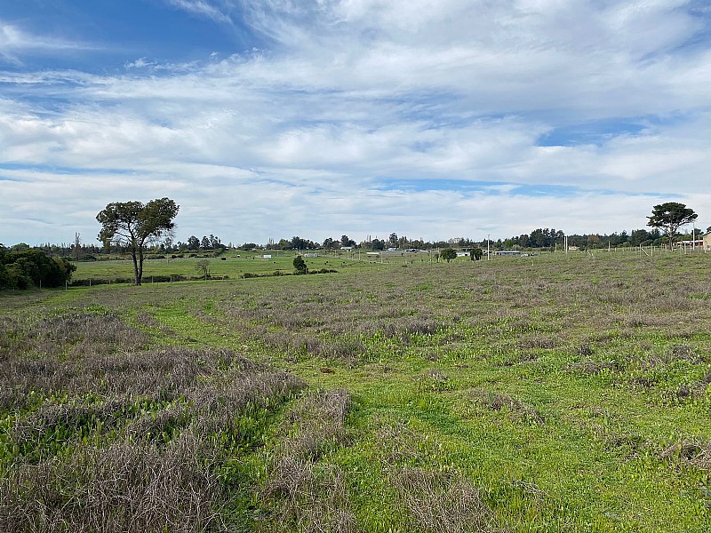 Terreno Cercano, de 5.000 Mts2 Con Rol Propio