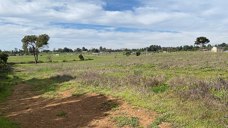 Terreno Cercano, de 5.000 Mts2 Con Rol Propio