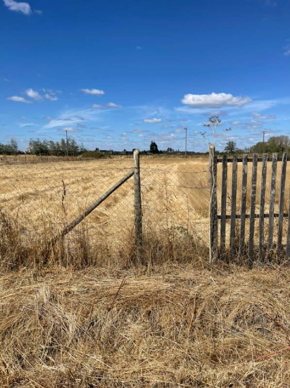 Se Vende Parcela en Km 7 Camino A Coihueco