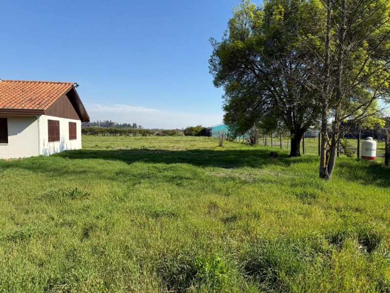 Venta Terreno Con Casa Cerca Strip Center Parque Urbano