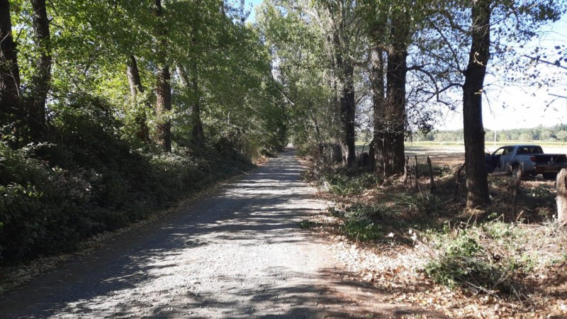 Vende Parcelas en Bulnes Limite Urbano