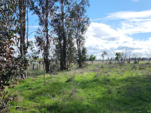 en Venta Parcelas Cruzando Río Ñuble -Los Maitenes