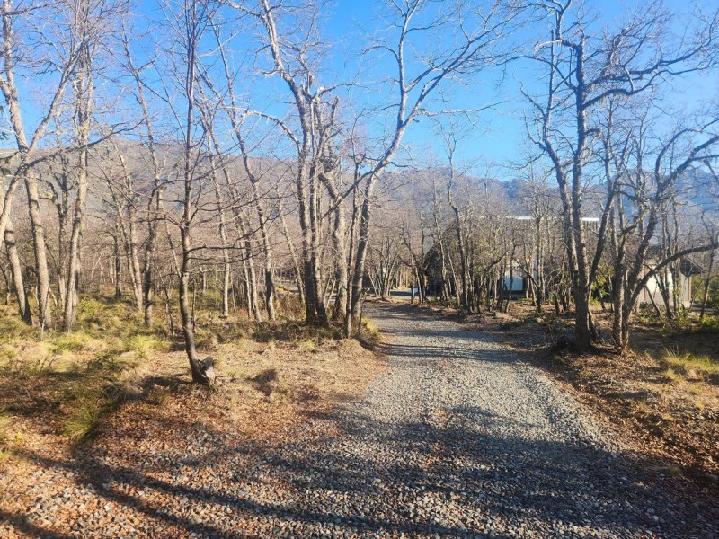 Vendemos Cabaña en Sector Shangrila,pinto