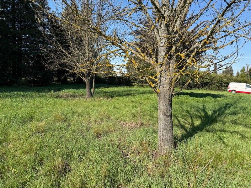 Venta Terreno Con Casa Cerca Strip Center Parque Urbano