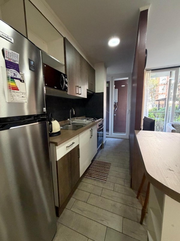 Arriendo Depto Amoblado 2D 2B Con Estacionamiento y Segurida