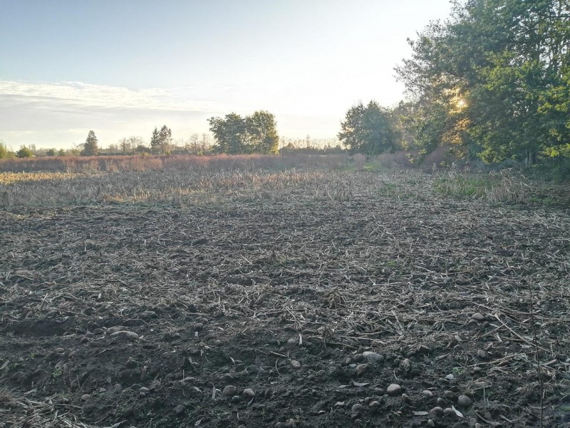 en Venta Parcela 5.000 Mtrs Sector Santa Raquel Camino Cato