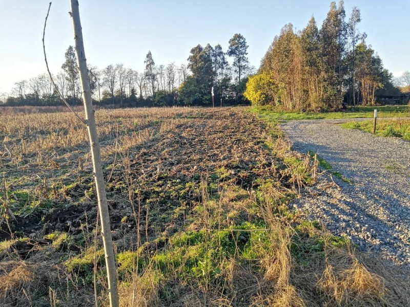 en Venta Parcela 5.000 Mtrs Sector Santa Raquel Camino Cato