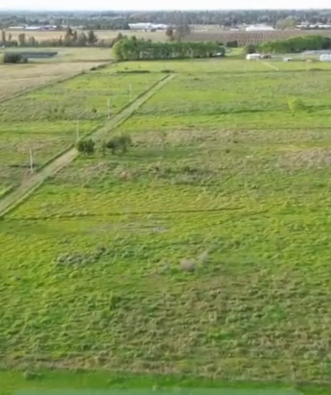 en Venta Parcelas Cruzando Río Ñuble -Los Maitenes