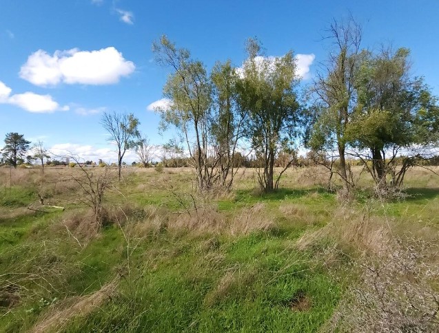 en Venta Parcelas Cruzando Río Ñuble -Los Maitenes