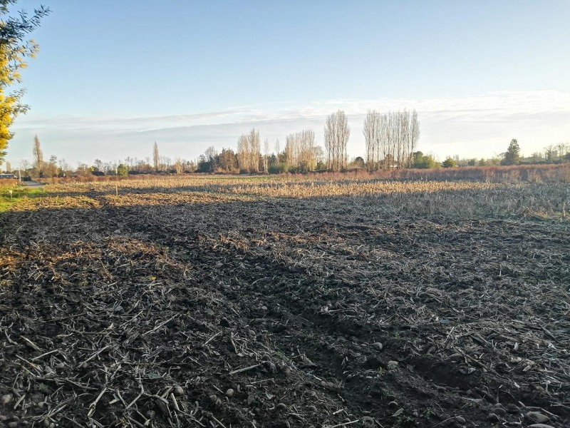 en Venta Parcela 5.000 Mtrs Sector Santa Raquel Camino Cato