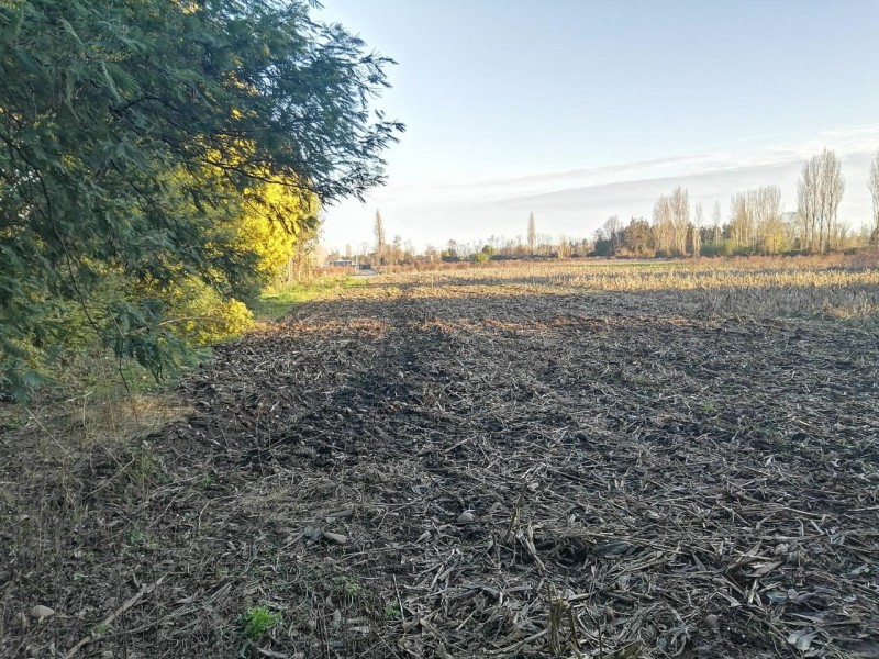 en Venta Parcela 5.000 Mtrs Sector Santa Raquel Camino Cato