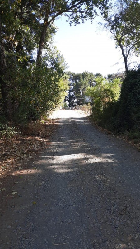 Vende Parcelas en Bulnes Limite Urbano