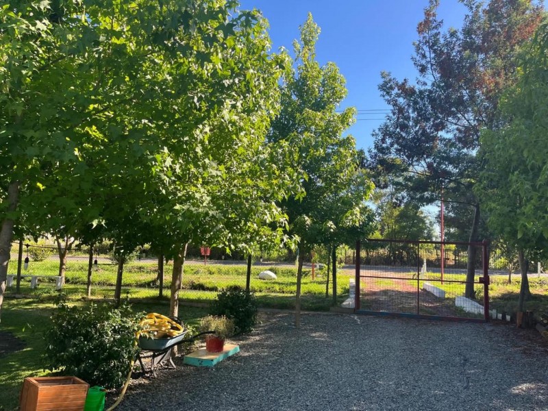 Casa de Campo Ubicada en Hermosa Parcela San Carlos
