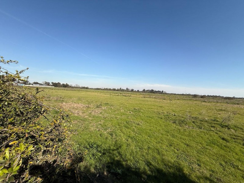 Venta Terreno Con Casa Cerca Strip Center Parque Urbano