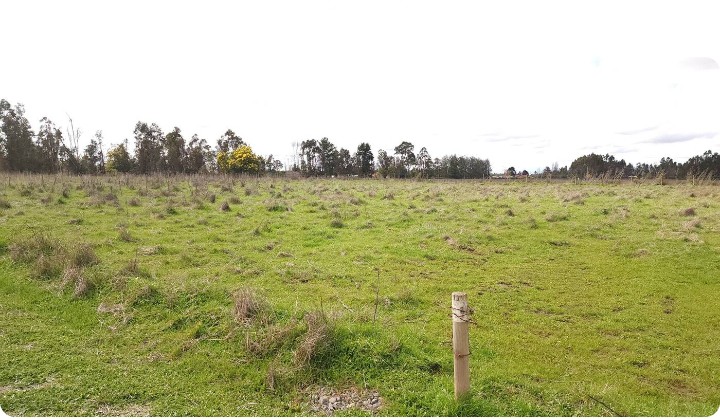 en Venta Parcelas Cruzando Río Ñuble -Los Maitenes