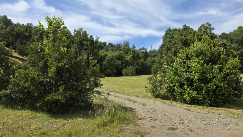 Venta Parcelas de 5.000 M² Camino A Freire, Sector Chucauco