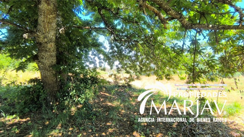 Venta de Terreno de 2,5 Hectáreas A 8Km de Loncoche