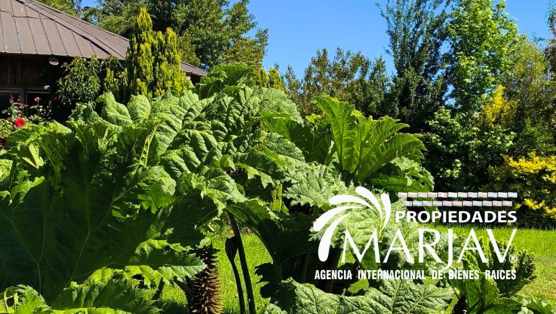 la Propiedad de 5.000M² Con 2 Casas + Quincho Villarrica