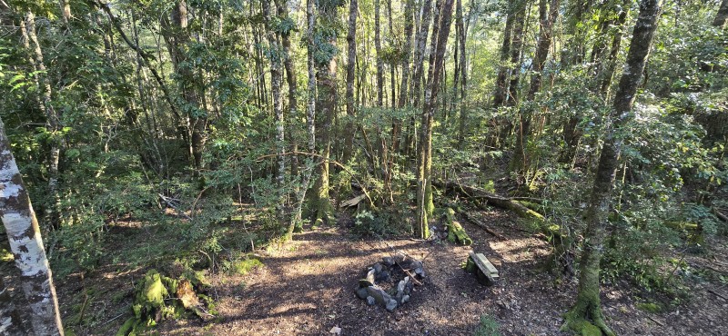 Venta Casa en Parcela de 5.160 Mts Con Bosque Coñaripe