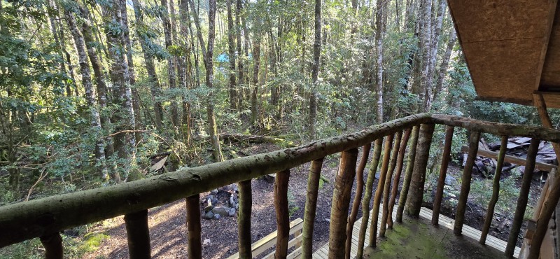 Venta Casa en Parcela de 5.160 Mts Con Bosque Coñaripe