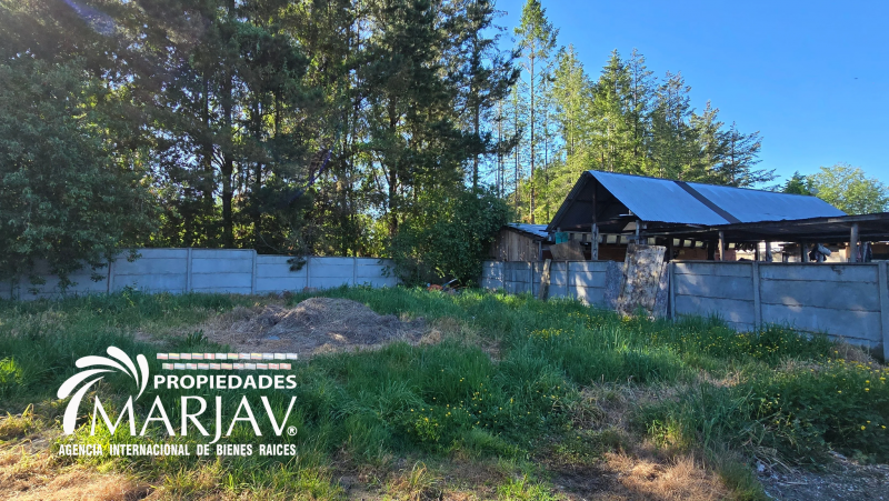 Arriendo Casa Año Corrido Sector Collico Bajo, Villarrica