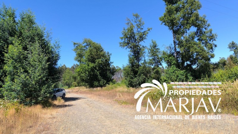 Venta de Terreno de 2,5 Hectáreas A 8Km de Loncoche