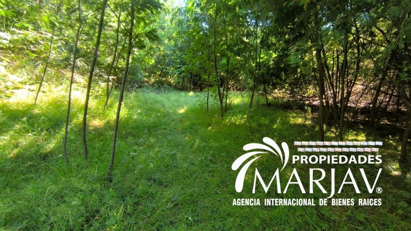 Venta de Terreno de 2,5 Hectáreas A 8Km de Loncoche