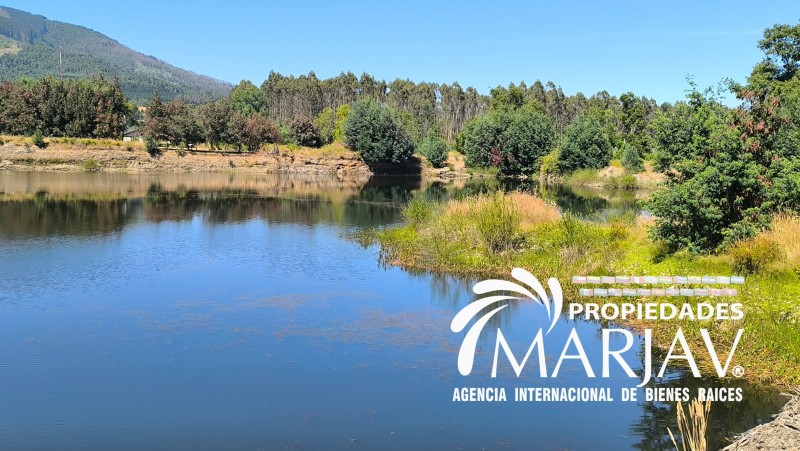 Venta de Terreno de 2,5 Hectáreas A 8Km de Loncoche