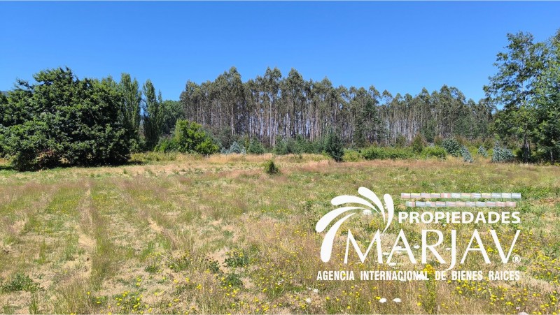 Venta de Terreno de 2,5 Hectáreas A 8Km de Loncoche