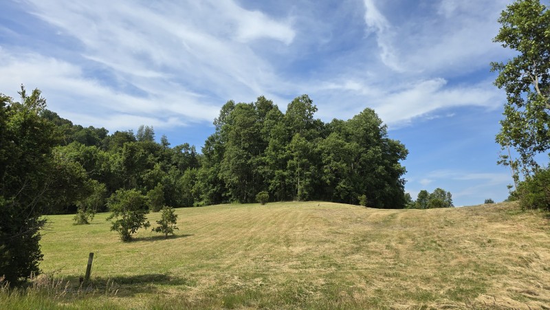 Venta Parcelas de 5.000 M² Camino A Freire, Sector Chucauco