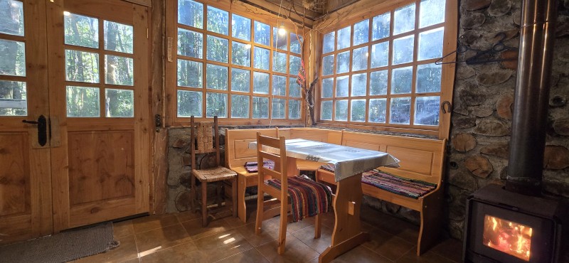 Venta Casa en Parcela de 5.160 Mts Con Bosque Coñaripe