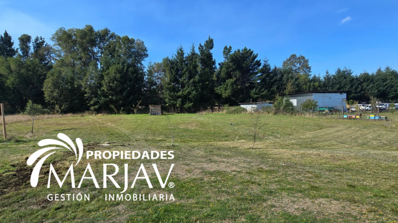 Arrienda Tu Espacio Ideal Cerca de Villarrica! (Se Aceptan M