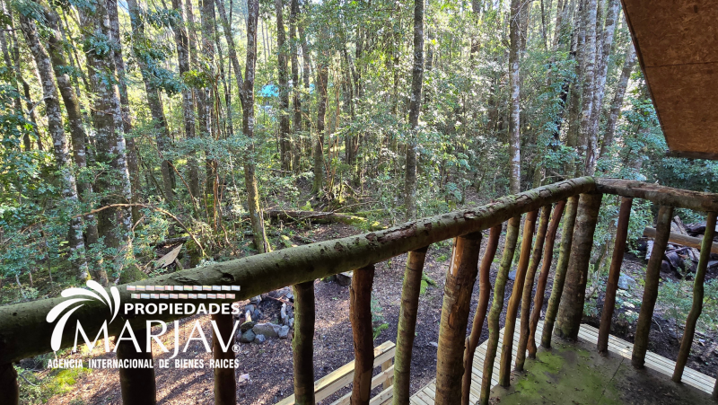 Venta Casa en Parcela de 5.160 Mts Con Bosque Coñaripe