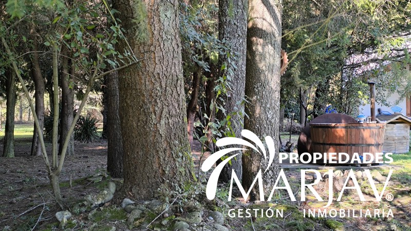 Venta de Casa + 3 Cabañas Ruta Villarrica-Loncoche