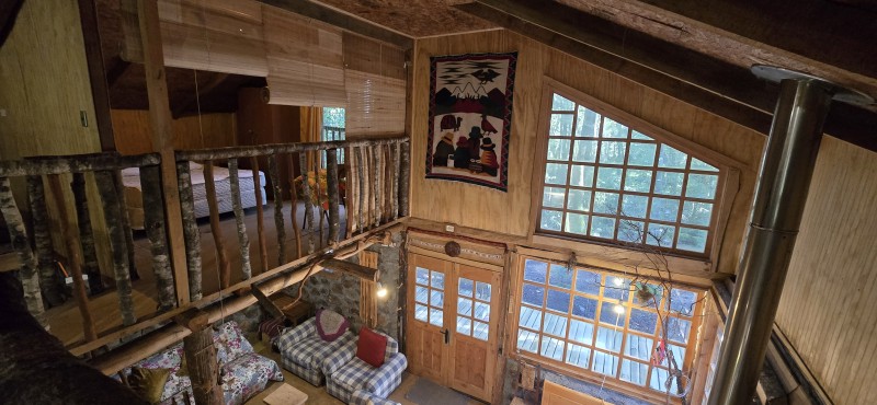 Venta Casa en Parcela de 5.160 Mts Con Bosque Coñaripe