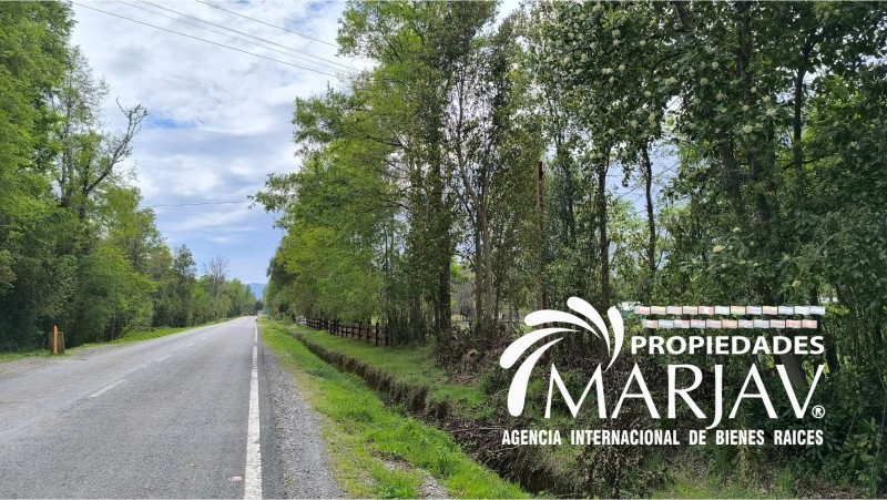 Vende Parcela 5000Mt2 Villarrica -Freire