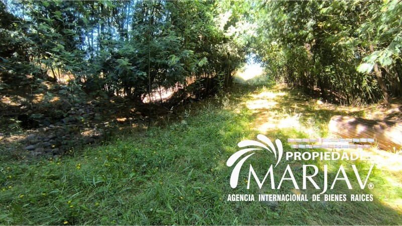 Venta de Terreno de 2,5 Hectáreas A 8Km de Loncoche