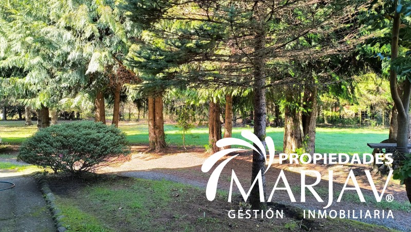 Venta de Casa + 3 Cabañas Ruta Villarrica-Loncoche