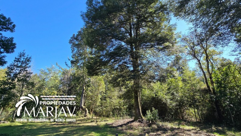 Ventacasa de 160M² Construida en Estructura de Madera Nativa