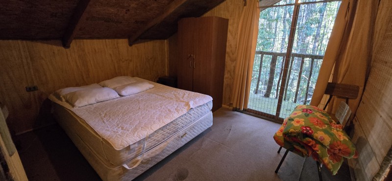 Venta Casa en Parcela de 5.160 Mts Con Bosque Coñaripe