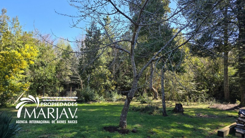 Ventacasa de 160M² Construida en Estructura de Madera Nativa